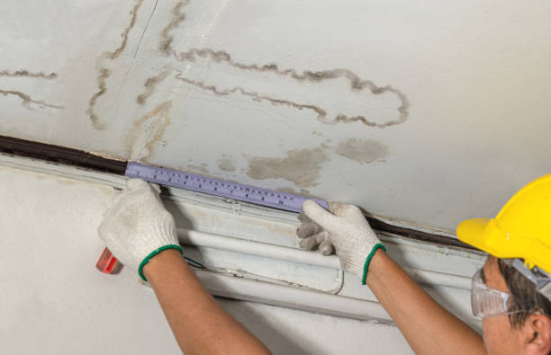 Reliable Water Damage contractor in Fruitport, MI by Water Damage Irwin